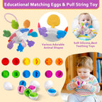 Montessori Magic Sensory & Teething Toy Set – 27 Engaging Pieces for 6–36 Months