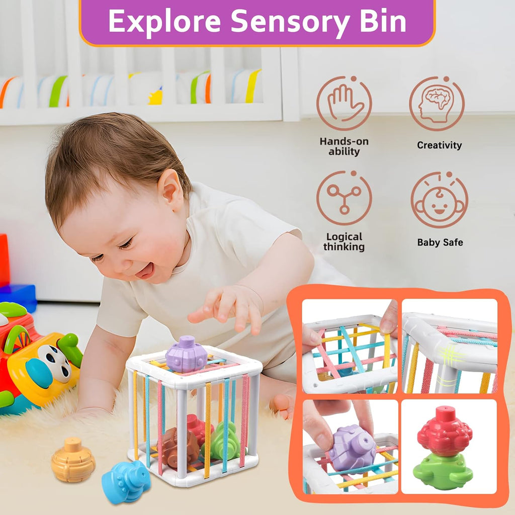 Montessori Magic Sensory & Teething Toy Set – 27 Engaging Pieces for 6–36 Months